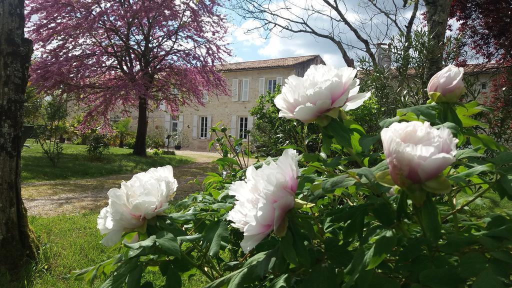 Bed and Breakfast Domaine du Papillon à Lesparre-Médoc Extérieur photo